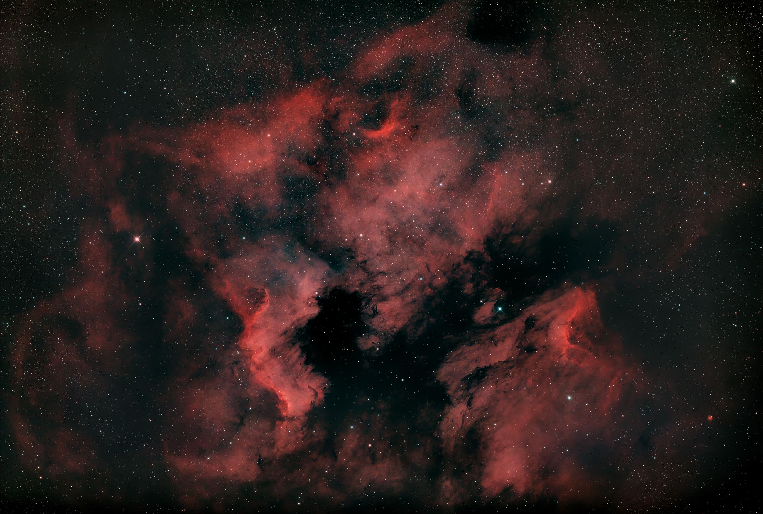 The North America Nebula NGC 7000 and the Pelican Nebula IC 5070 are emission nebulae in the constellation Cygnus near Deneb (the Swan's Tail and its brightest star). The shape of the nebula resembles that of the North American continent, complete with a prominent Gulf of Mexico. At the top right of the picture you can see the head of a pelican.